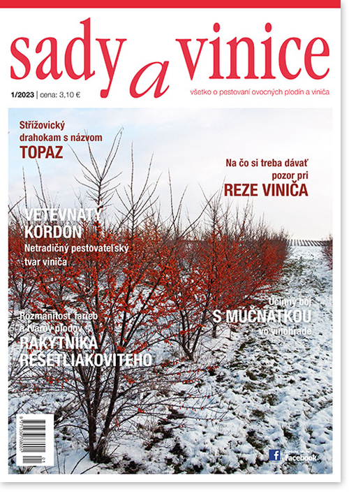 Sady a vinice 01/2023