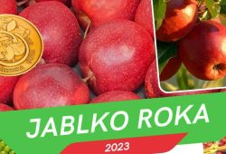 Jablko-roka-2023