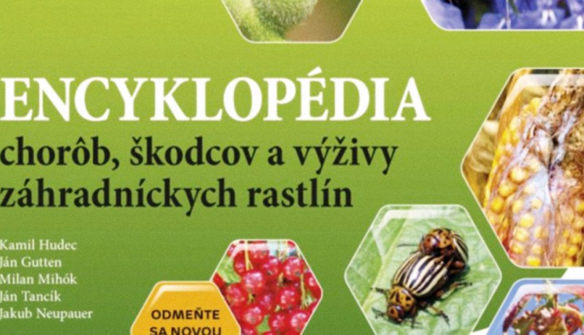 Encyklopédia - Blumeria consulting