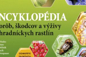 Encyklopédia - Blumeria consulting