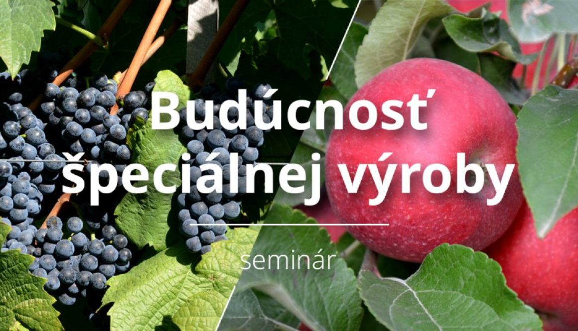 n-seminar
