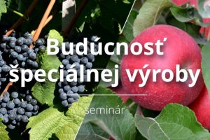 n-seminar