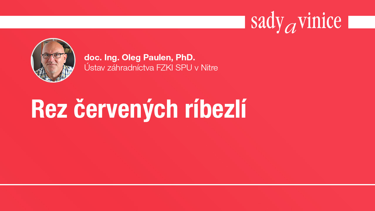 yt-rez-cervenych-ribezli