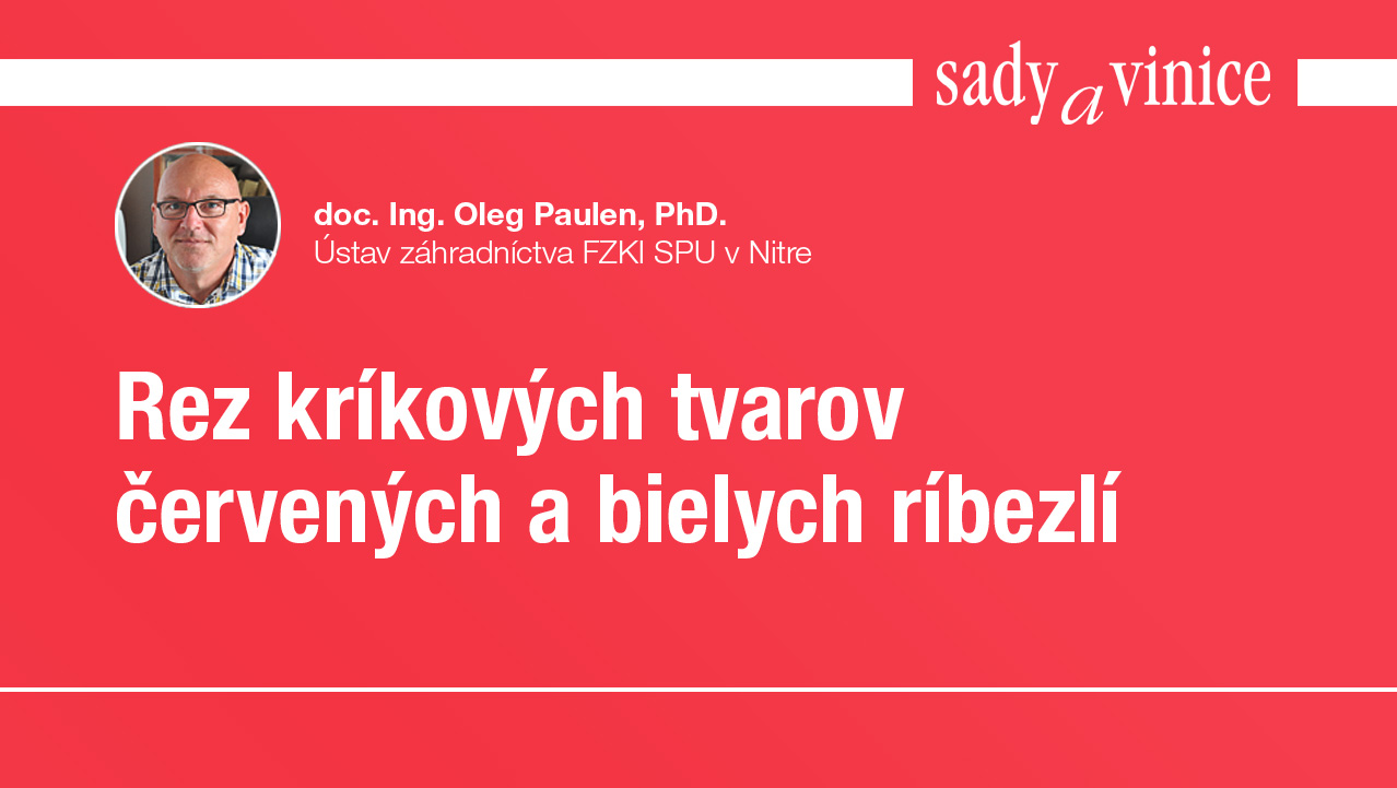 yt-rez-krikovitych-tvarov-ribezli