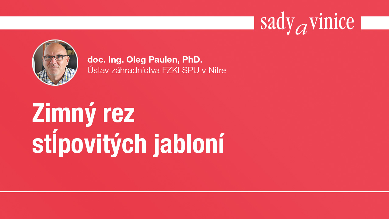 yt-zimny-rez-jabloni