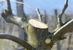 Chyba rezu štíhleho vretena