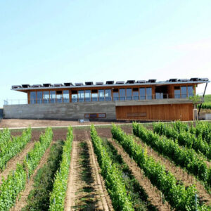 Pestovanie viniča v ČR