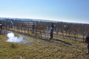 sutaz-v-reze-vinica-m