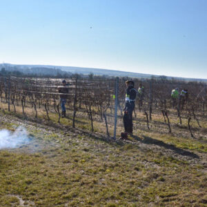 sutaz-v-reze-vinica-m