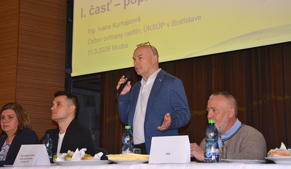 konferencia1