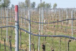 Rozvod protimrazovej závlahy