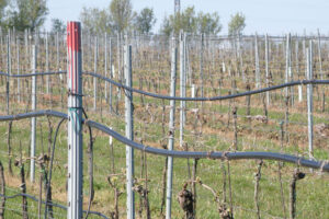 Rozvod protimrazovej závlahy