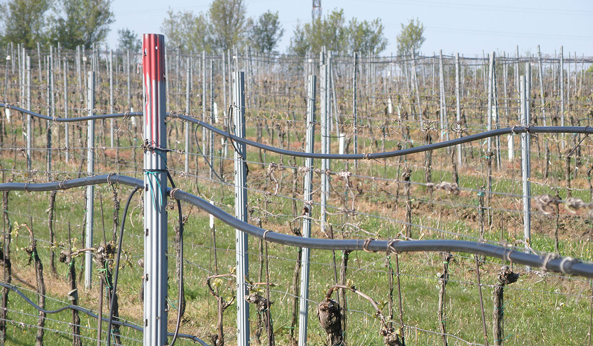 Rozvod protimrazovej závlahy