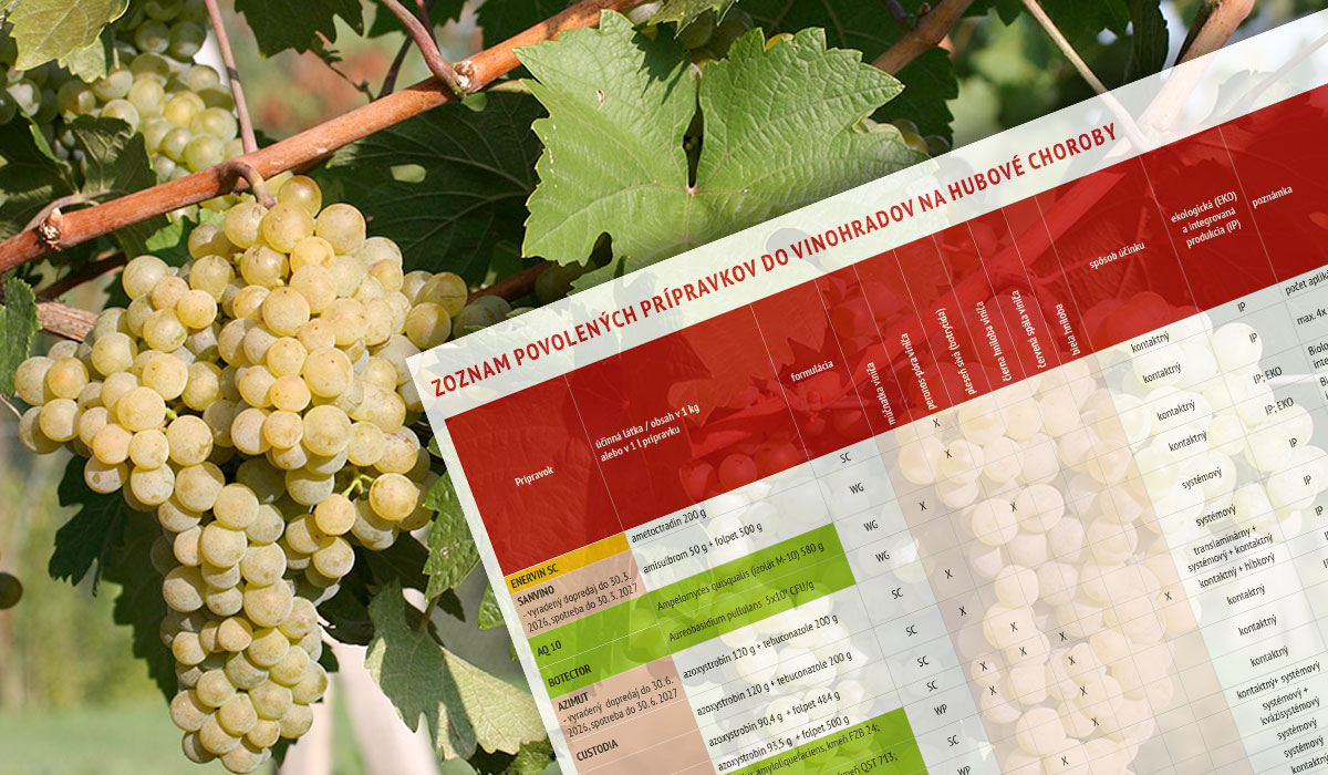 Choroby-vinič