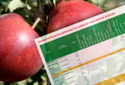 tab-skodcovia-jadroviny