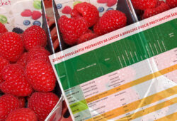 tab-skodcovia-jahody-a-bobulove