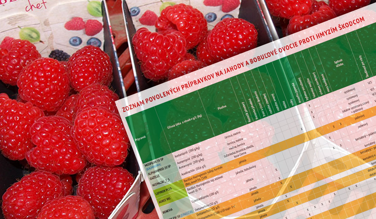 tab-skodcovia-jahody-a-bobulove