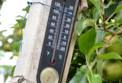 Neskoré jarné mrazy