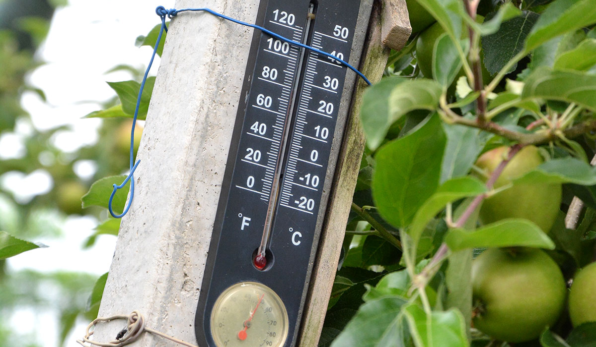 Neskoré jarné mrazy