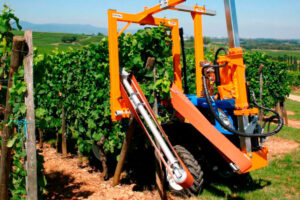 Zelené práce vo viniciach