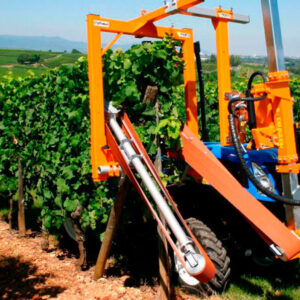 Zelené práce vo viniciach