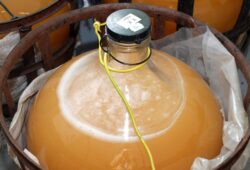 Fermentácia - v priebehu kvasenia hroznových muštov, v ktorých prevláda kyselina vínna nad ostatnými kyselinami, môžeme očakávať pokles pH o 0,1