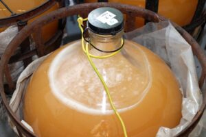 Fermentácia - v priebehu kvasenia hroznových muštov, v ktorých prevláda kyselina vínna nad ostatnými kyselinami, môžeme očakávať pokles pH o 0,1