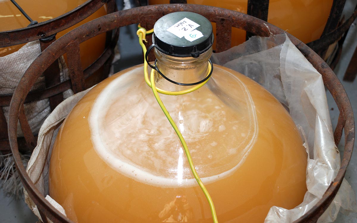 Fermentácia - v priebehu kvasenia hroznových muštov, v ktorých prevláda kyselina vínna nad ostatnými kyselinami, môžeme očakávať pokles pH o 0,1