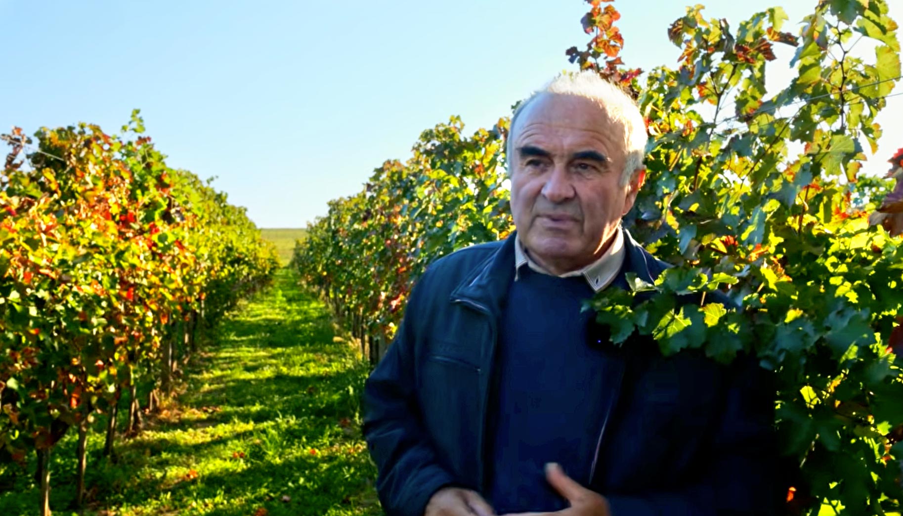 Ing. Milan Chudý